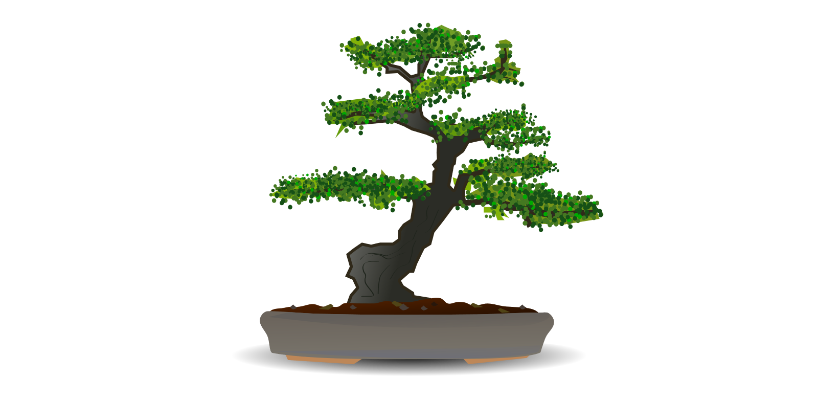 Bonsai